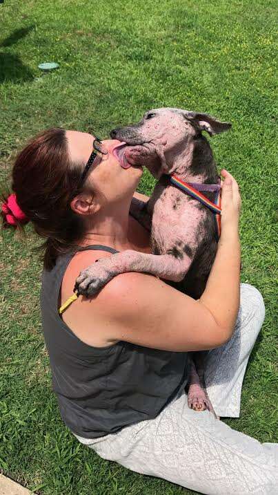 Rescued dog licking woman